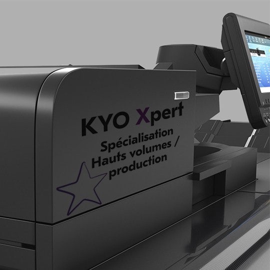 kyoxpert