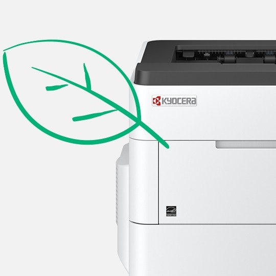 square-540x540-blog-ecosys