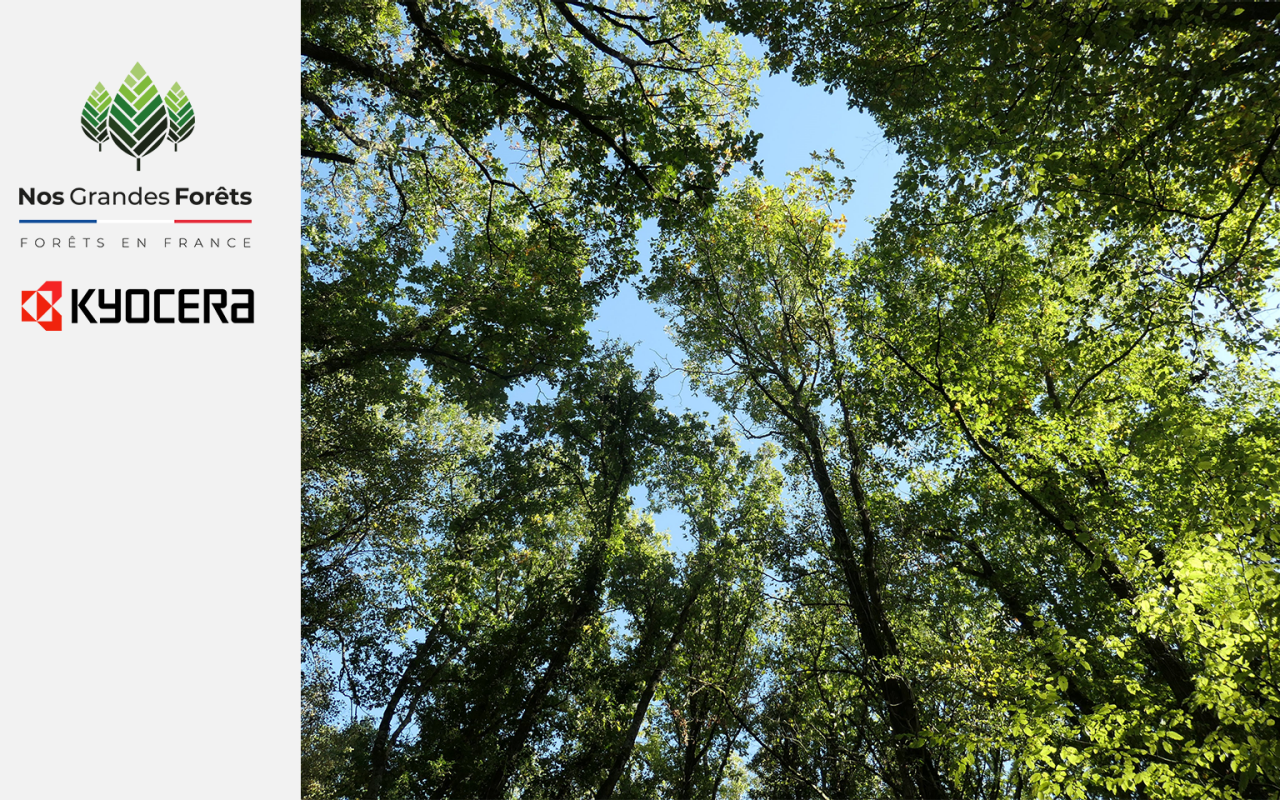 Partenariat Nos Grandes Forêts et Kyocera Document Solutions France