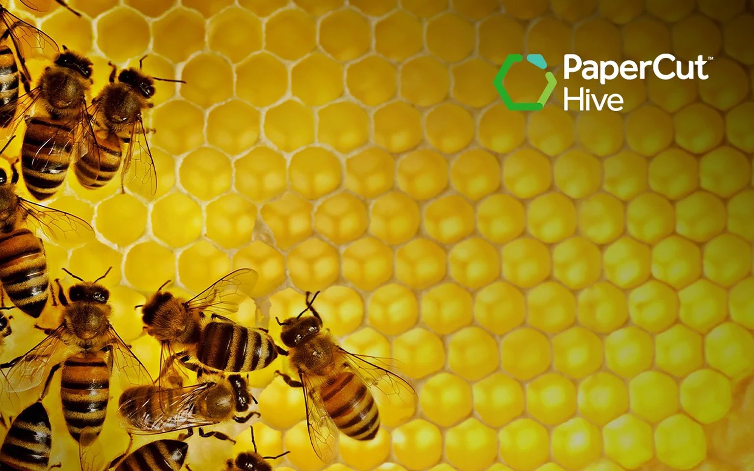 PaperCut HIVE