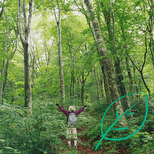 Ecovadis- Engagement RSE Kyocera